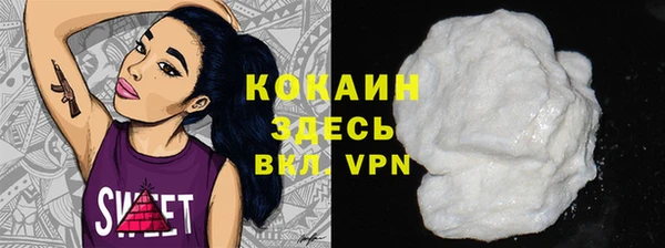 гидра Арсеньев