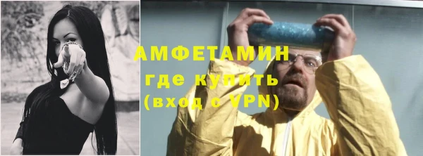 сатива Аркадак