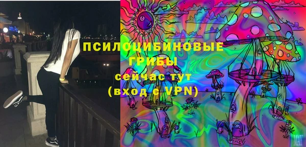 сатива Аркадак