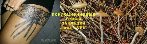гидра Арсеньев