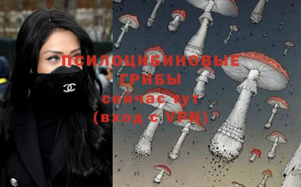 сатива Аркадак