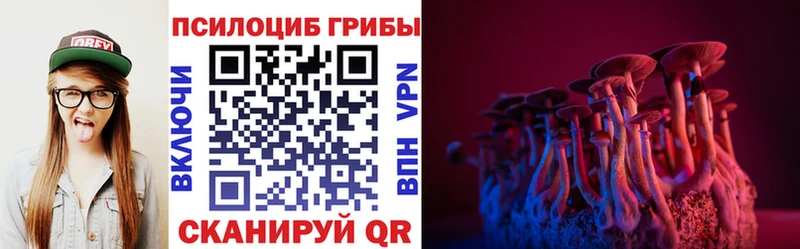 KRAKEN ТОР  Сегежа  Галлюциногенные грибы MAGIC MUSHROOMS 